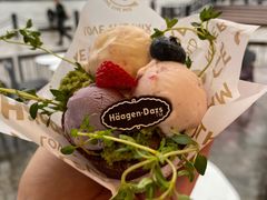 掌心花园外带冰淇淋杯-哈根达斯(滨江店)