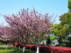 -太湖湾开元名庭大酒店