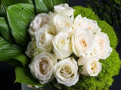 -茶大椰·椰子茶(星悦荟店)