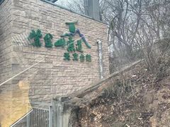 -紫金山山顶公园