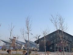 -盐城丹顶鹤湿地生态旅游区