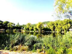 -大连罗马假日酒店温泉