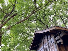 -涂山寺素食餐厅
