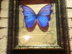 -旅马餐厅(茅家埠店)