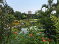 -南宁南湖公园