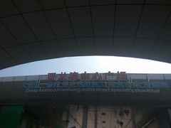 -亚龙湾中心广场