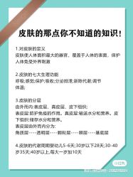 点击看大图 -玛莲朵·海菲秀冰珀科