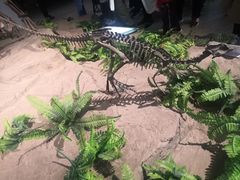 -自贡恐龙博物馆