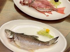 -吴记富苑(朝阳店)