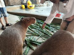 -龙谷湾旅游休闲度假区