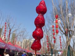 -三圣花乡旅游区