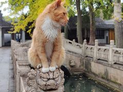 -西园寺素食(西园弄戒幢律寺店)