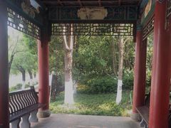 -洛龙公园