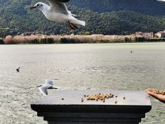-海埂大坝