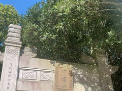 -普陀山风景区-佛顶山