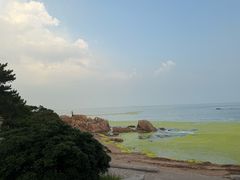 -青岛第二海水浴场
