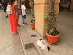 -卡纳克神庙