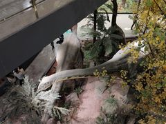 -湖南省地质博物馆