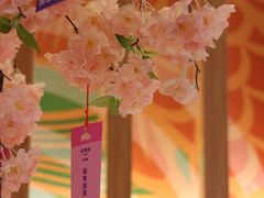 -重庆南山海昌汤都