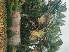 -白沙门生态公园