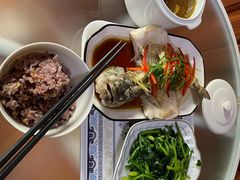 -田螺阿姨自营月嫂·育儿嫂(高新店)
