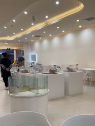 -Moni星球萌宠·小马宝莉·灵蛇·高端高阶全萌宠互动体验俱乐部(红豆国际广场店)