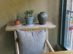 -看见远方·莫干遥远的山民宿