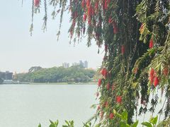 -顺峰山公园