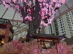 -海底捞火锅(老城根店)