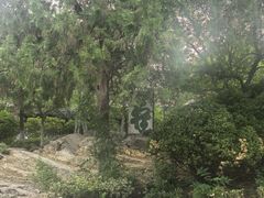 -云龙山