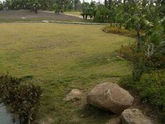 android_upload_pic-瑶湖郊野森林公园