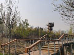 -东郊湿地公园