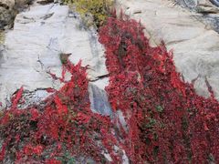 -北京密云天门山风景区