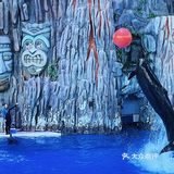 🐳长隆海洋王国的正确解锁方式