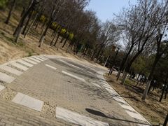 -妙味当棋子烧饼(凤凰世嘉店)