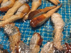 -驻海渔市(置信店)