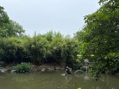 -汇龙潭