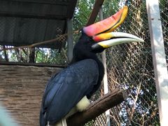 -清迈夜间动物园