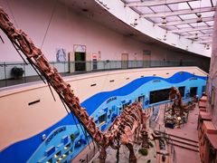 -陕西自然博物馆