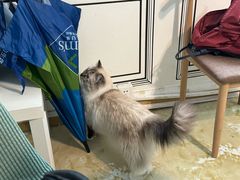 -剧狐剧本杀·月球探案馆(人民广场1号店)