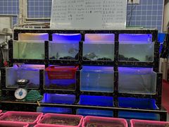 -众味海鲜大排档·活海鲜·潮汕味(南澳店)