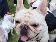 -上海神旺大酒店