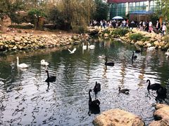 -临沂动植物园