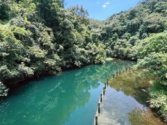-鼎湖山风景区