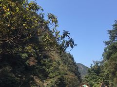 -白云源风景区