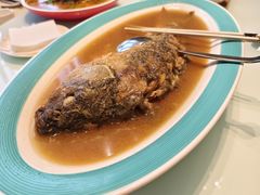 -豫丰汇河南名菜楼(武记餐饮)