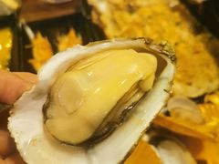-土蚝·高压锅生蚝(百姓美食街店)
