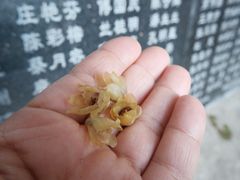 -东南悬空寺方广岩