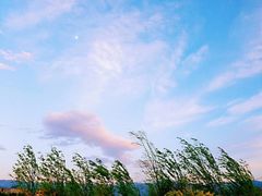 -西昌邛海湿地