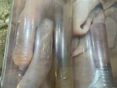 -金沙滩海鲜餐厅·海肠捞饭·手工水饺·无预制菜(梅江龙水园店)